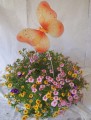 Butterfly Hanging Basket