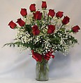 Valentines Roses