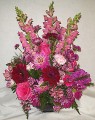 So Pretty In Pinks and Purples