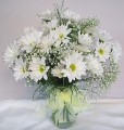 Daisy Bombe