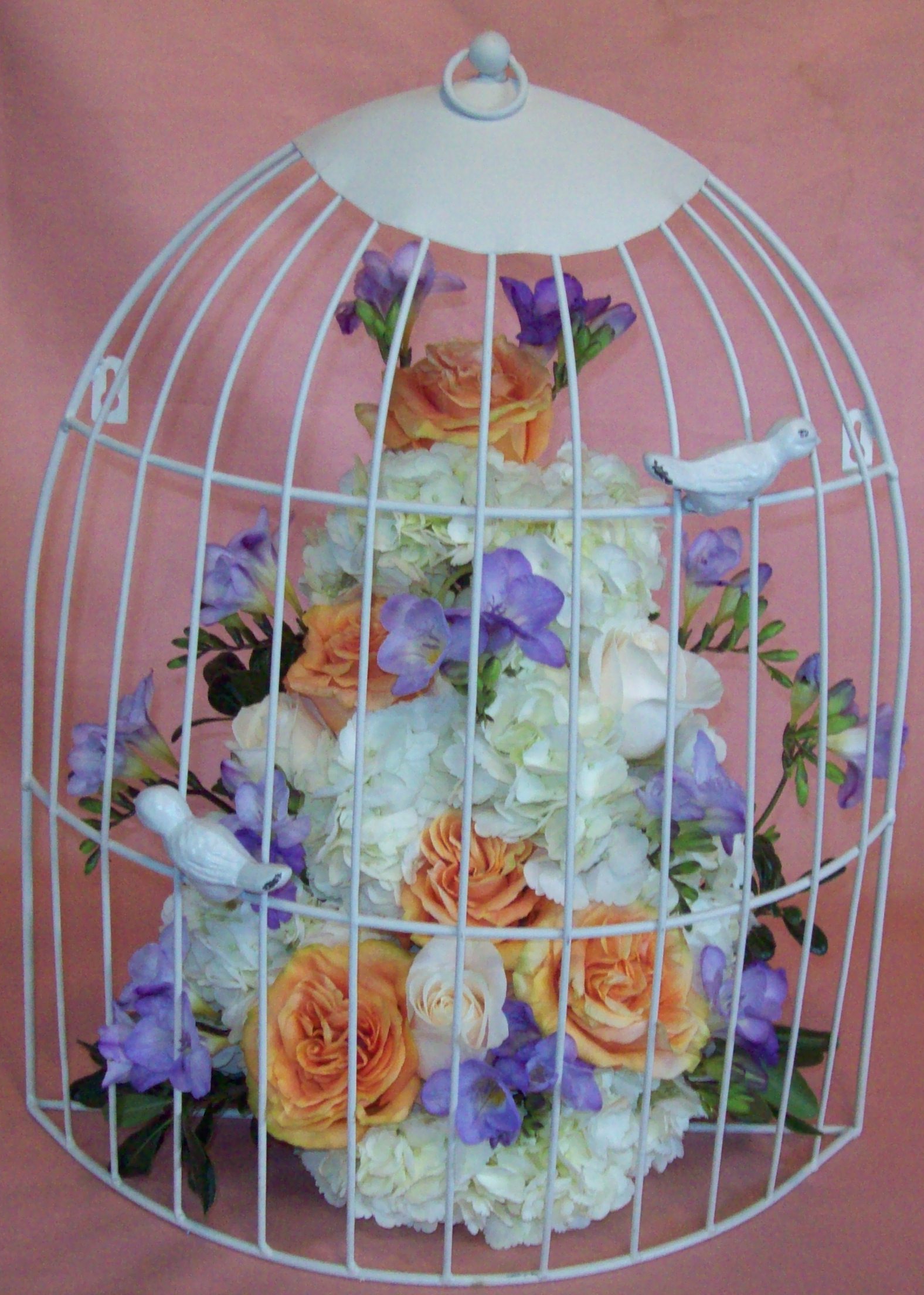 100-2060crop.jpg