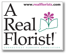 real-florist-logo123-cop308.png